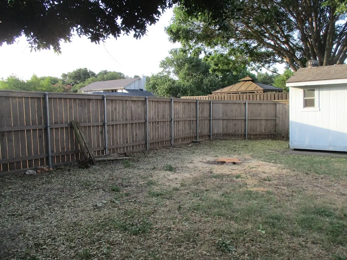 Cleared yard after professional tree removal in Van Vleet