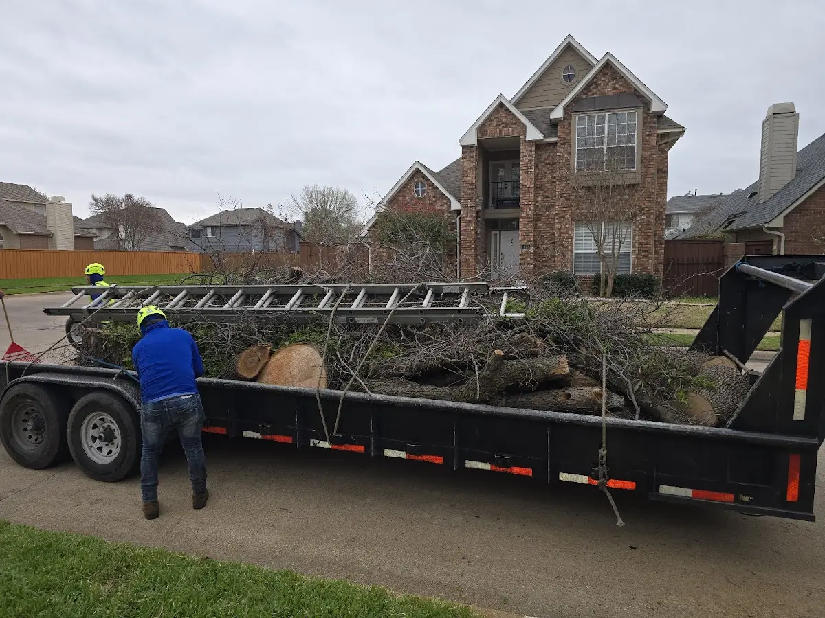 Expert Lot Clearing with proper safety equipment in Van Vleet